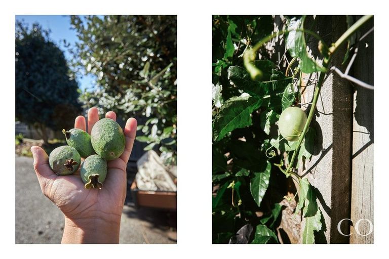 Photo of property in 22 Macmillan Street, Katikati, 3129