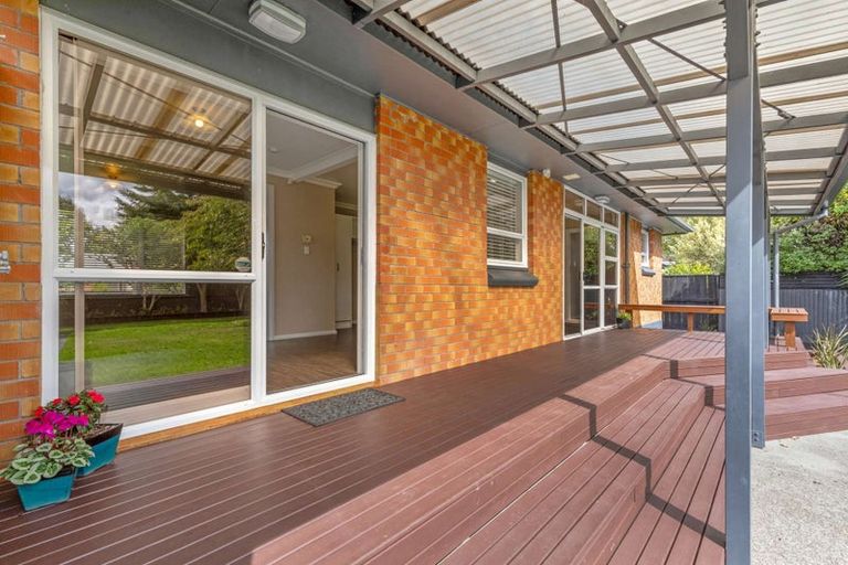Photo of property in 56 Windsor Street, Terrace End, Palmerston North, 4410