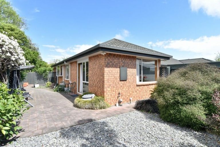 Photo of property in 24b Picton Avenue, Riccarton, Christchurch, 8011
