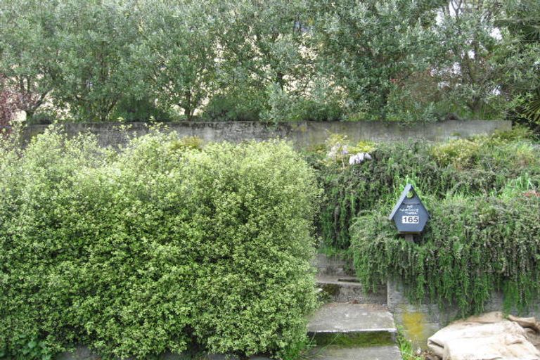 Photo of property in 165 Vanguard Street, Nelson South, Nelson, 7010