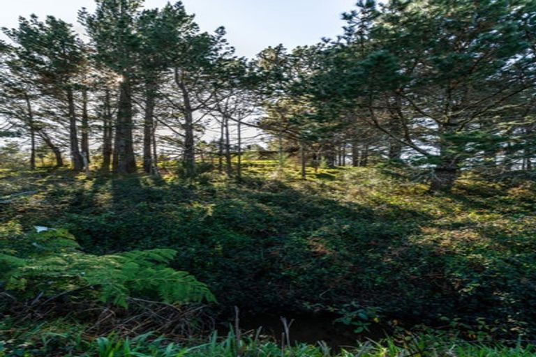 Photo of property in 21 Hobson Street, Waihi, 3610