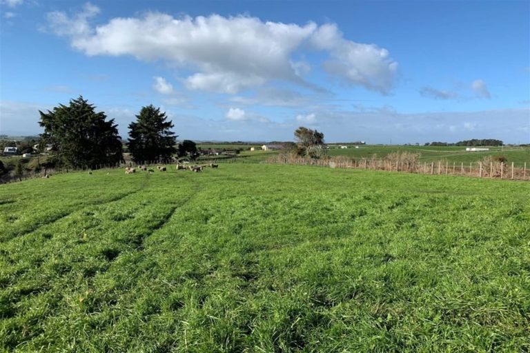 Photo of property in 131 Morrison Road, Pukekawa, Tuakau, 2696