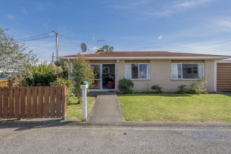 Photo of property in 16a Mako Mako Road, Levin, 5510