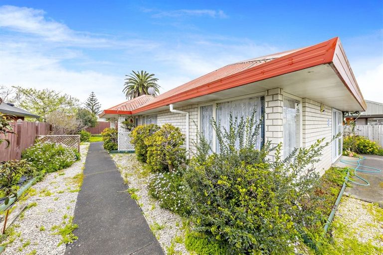 Photo of property in 14 Gadsby Road, Favona, Auckland, 2024