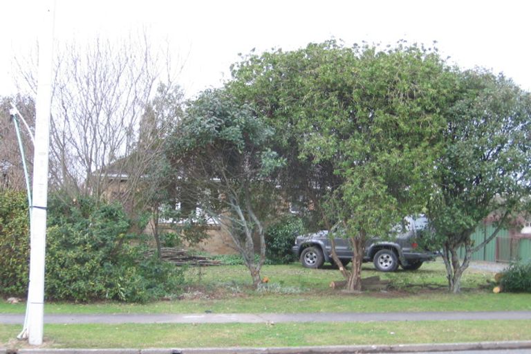 Photo of property in 19 Roy Street, Nawton, Hamilton, 3200