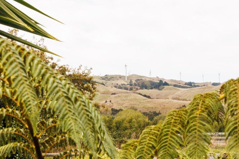 Photo of property in 221 The Terrace, Ashhurst, 4810