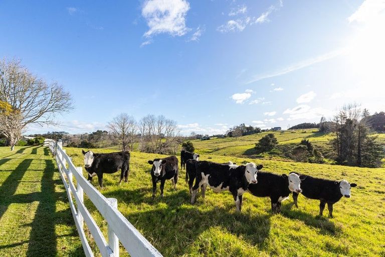 Photo of property in 303 Port Albert Road, Wellsford, 0900