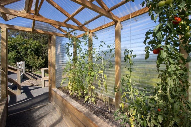 Photo of property in 189 Thompsons Track, Aongatete, Katikati, 3178