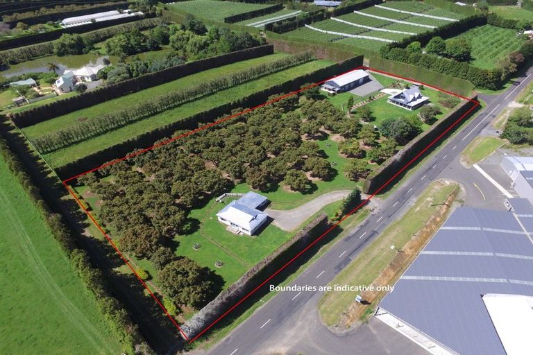 Photo of property in 7 Sedgemoor Lane, Tahawai, Katikati, 3178