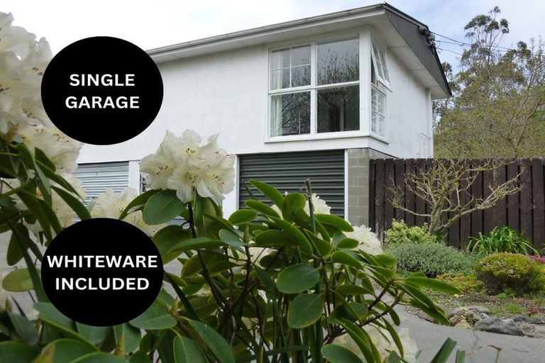 Photo of property in 1/225 Edgeware Road, Edgeware, Christchurch, 8013