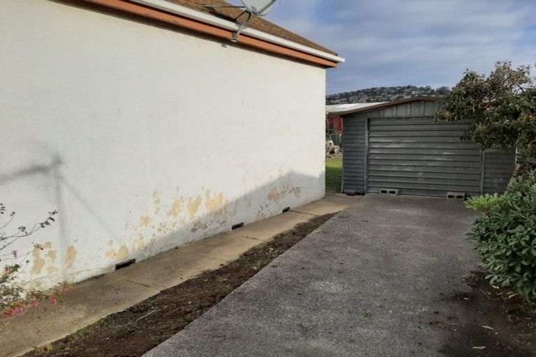 Photo of property in 17 Burns Street, South Dunedin, Dunedin, 9012