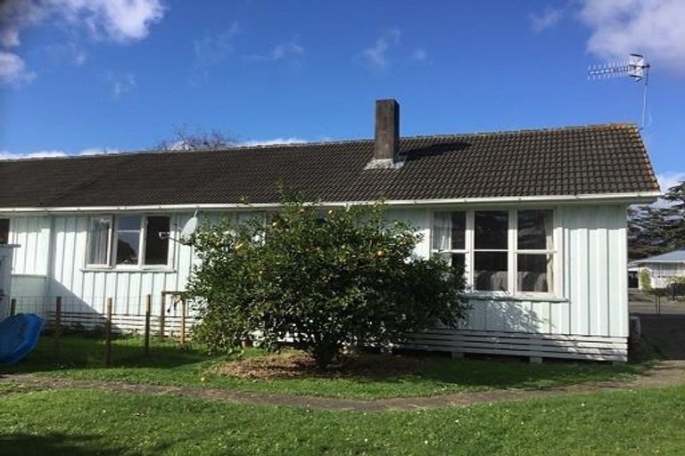 Photo of property in 10 Hinemoa Street, Levin, 5510