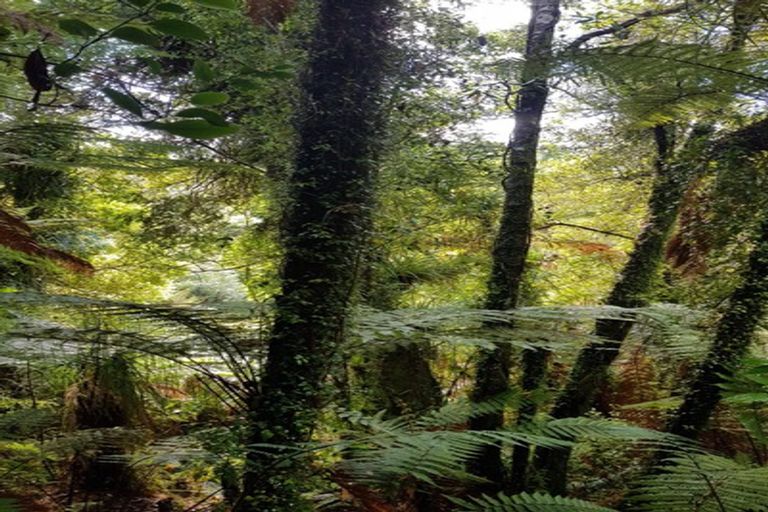 Photo of property in 74 Wangapeka Road, Little Wanganui, Karamea, 7893