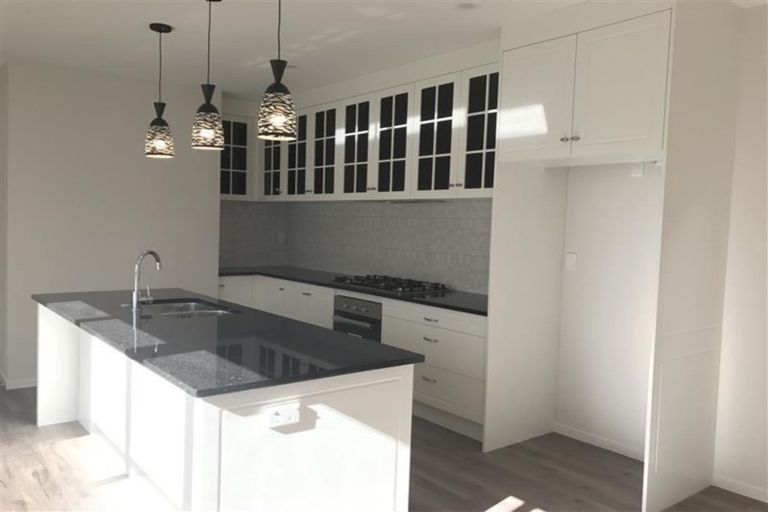 Photo of property in 241 Murphys Road, Flat Bush, Auckland, 2019