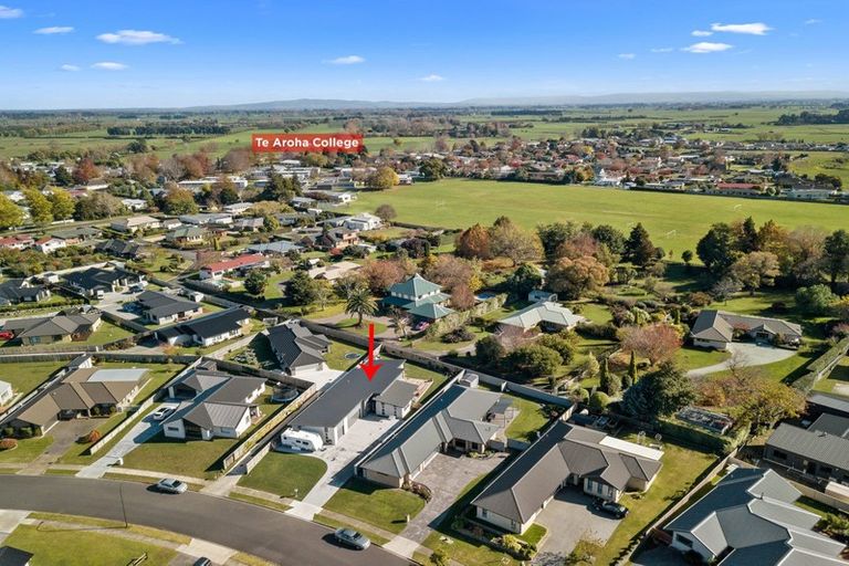 Photo of property in 49 Ritchie Street, Te Aroha, 3320