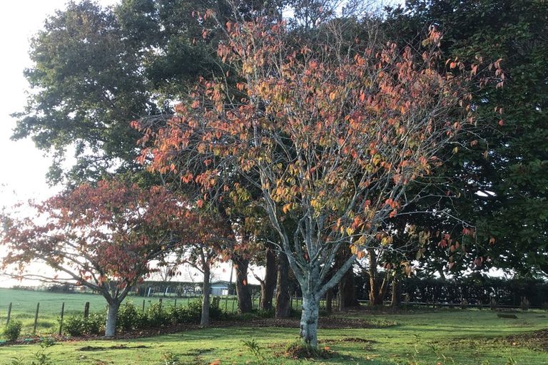 Photo of property in 129 Woodhouse Road, Patumahoe, Pukekohe, 2679