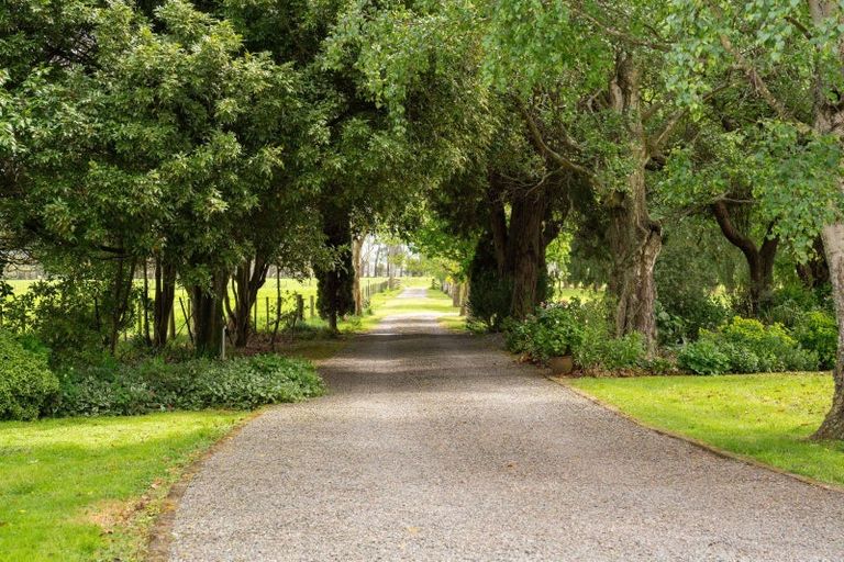 Photo of property in 119 Te Whiti Sett Road, Te Whiti, Masterton, 5884