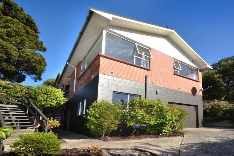 Photo of property in 99 Bedford Street, Saint Clair, Dunedin, 9012