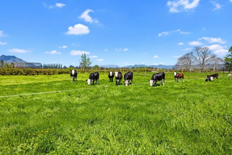 Photo of property in 84 Grieve Road, Otakiri, Whakatane, 3193