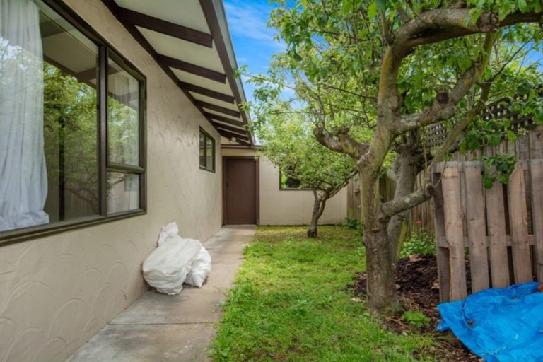 Photo of property in 197a Weld Street, Witherlea, Blenheim, 7201