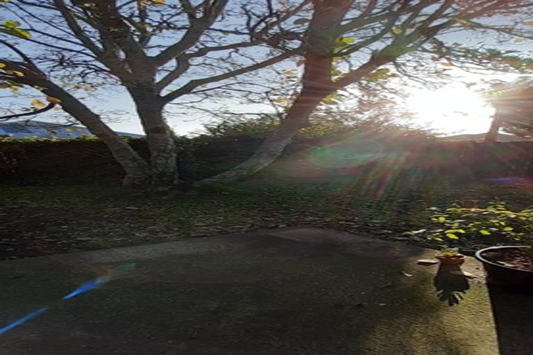 Photo of property in 391a Peachgrove Road, Fairfield, Hamilton, 3214