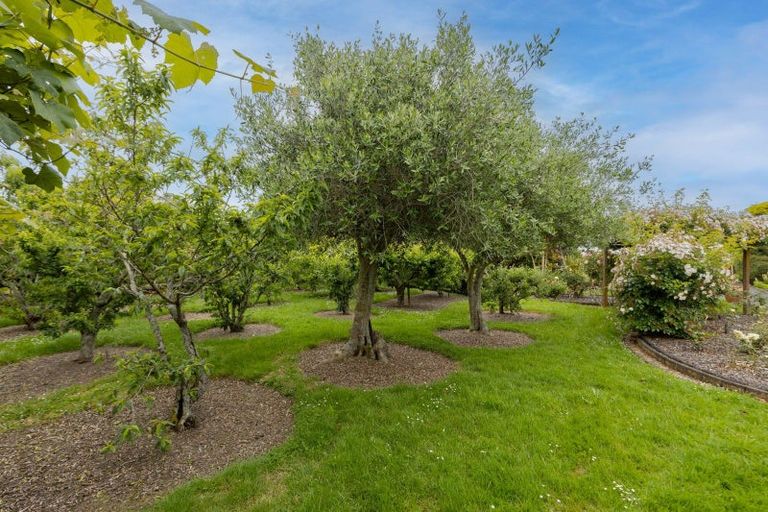 Photo of property in 386 Reservoir Canal Road, Kerepehi, Paeroa, 3671