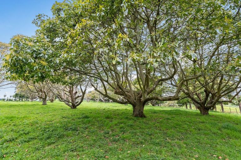 Photo of property in 14 Arthur Road, Paraite, New Plymouth, 4373