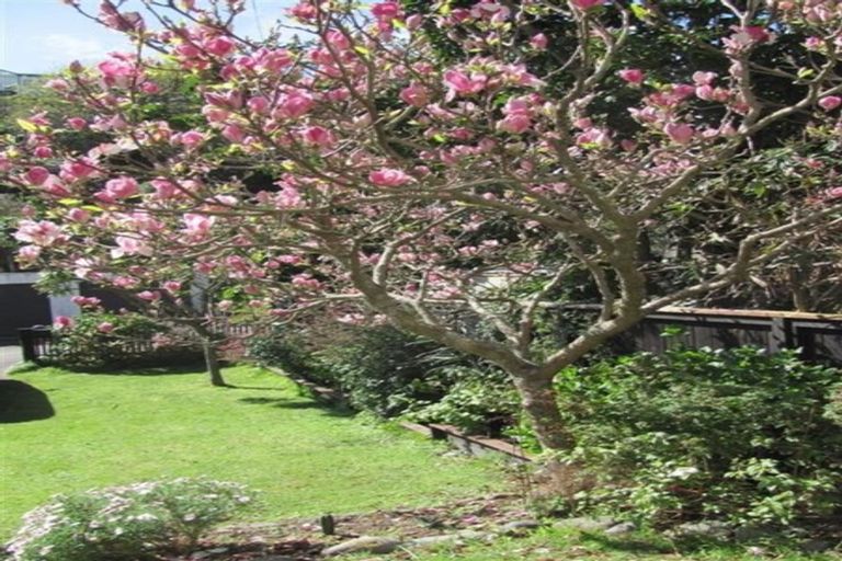 Photo of property in 2 Melrose Crescent, Melrose, Wellington, 6023