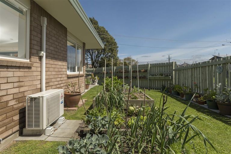 Photo of property in 1 Yatton Street, Greerton, Tauranga, 3112