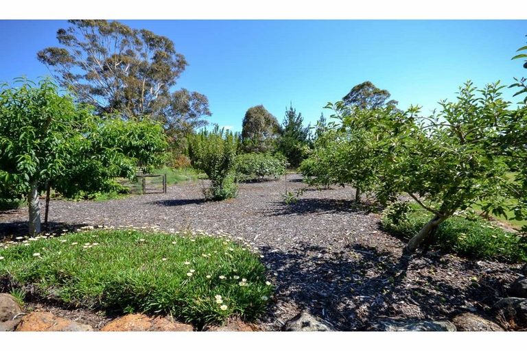 Photo of property in 50b Equestrian Drive, Kerikeri, 0294