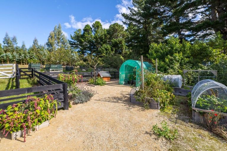 Photo of property in 2249e Te Wharau Road, Te Wharau, Masterton, 5883