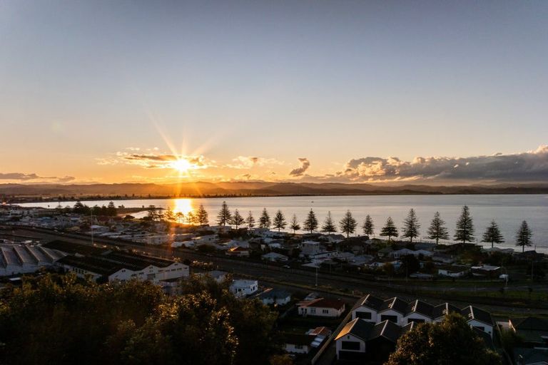 Photo of property in 14 Bay View Road, Bluff Hill, Napier, 4110