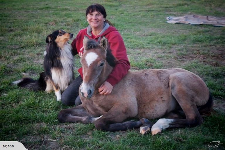 Photo of property in 298 Birch Hill Road, Okuku, Rangiora, 7473