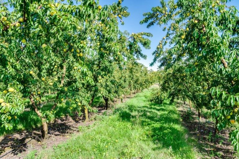 Photo of property in 238 Stock Road, Bridge Pa, Hastings, 4175