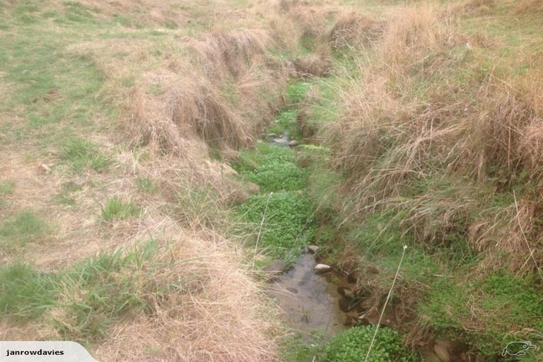 Photo of property in 257 Maungakawa Road, Cambridge, 3496