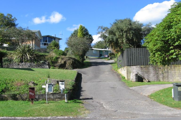 Photo of property in 113 Reservoir Street, Putaruru, 3411