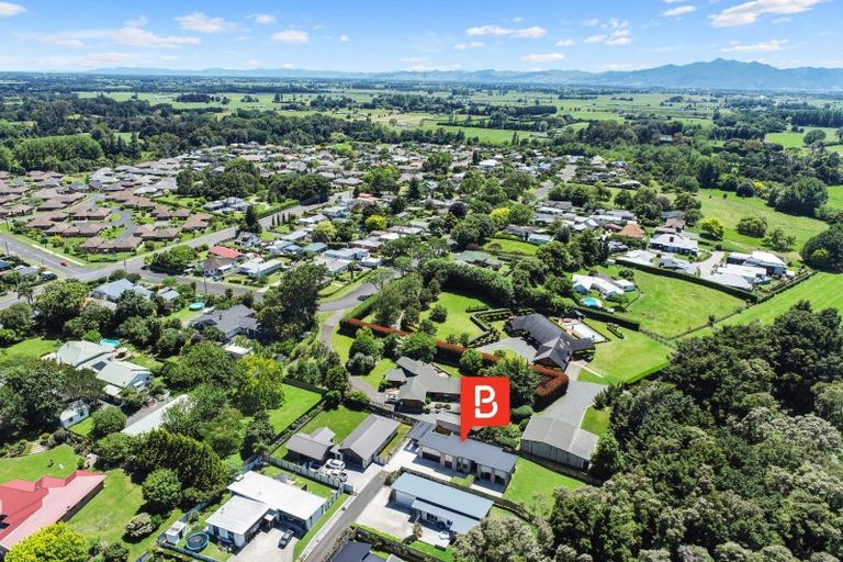 Photo of property in 8 Allendale Place, Morrinsville, 3300
