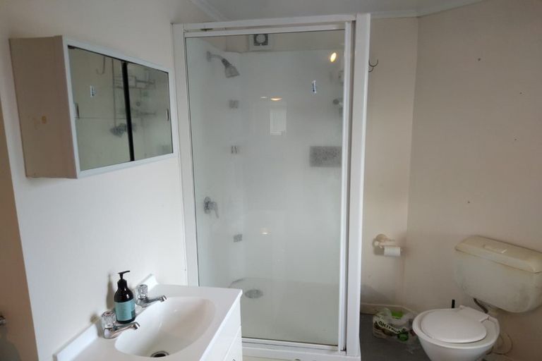 Photo of property in 120 Williamson Avenue, Grey Lynn, Auckland, 1021
