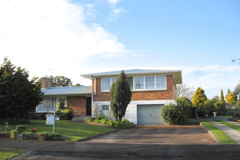 Photo of property in 21 Chesterman Road, Riverlea, Hamilton, 3216