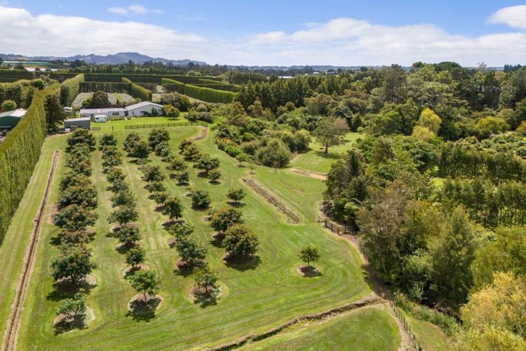 Photo of property in 63a Rea Road, Tahawai, Katikati, 3178