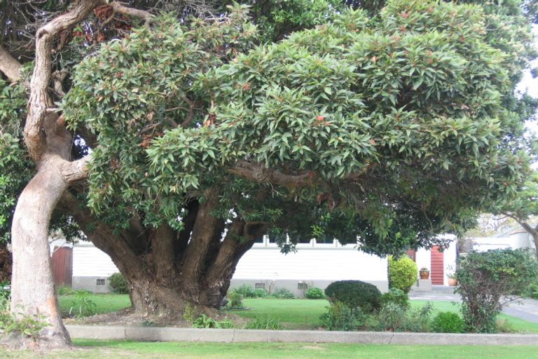 Photo of property in 40 Lincoln Avenue, Epuni, Lower Hutt, 5011