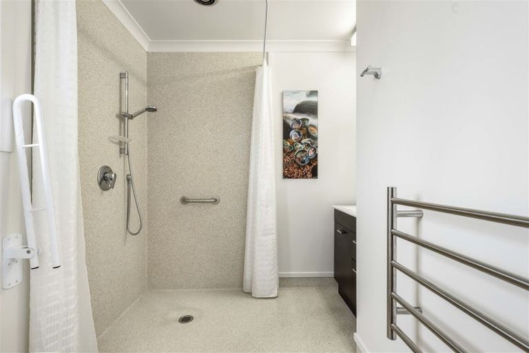 Photo of property in 101 Fairfield Road, Fairfield, Hamilton, 3214