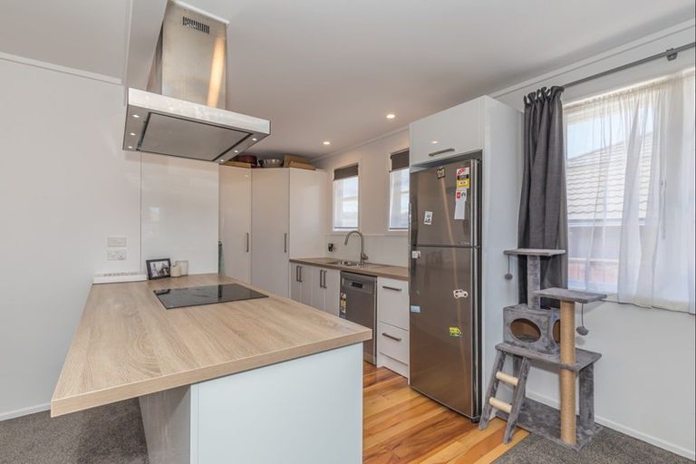 Photo of property in 51 Winchester Street, Levin, 5510