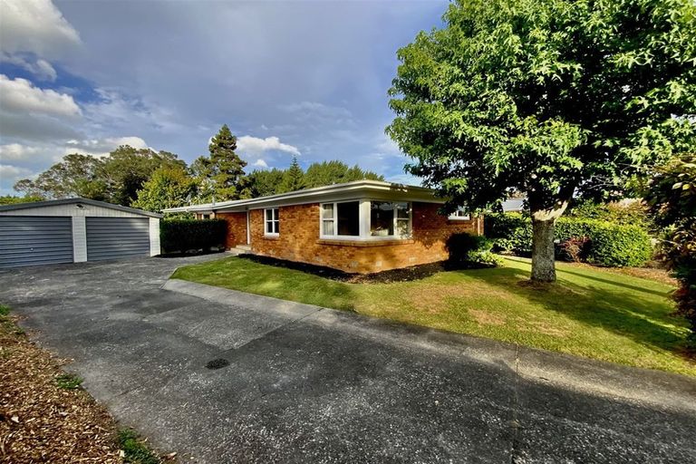Photo of property in 115 Fitzroy Avenue, Fitzroy, Hamilton, 3206