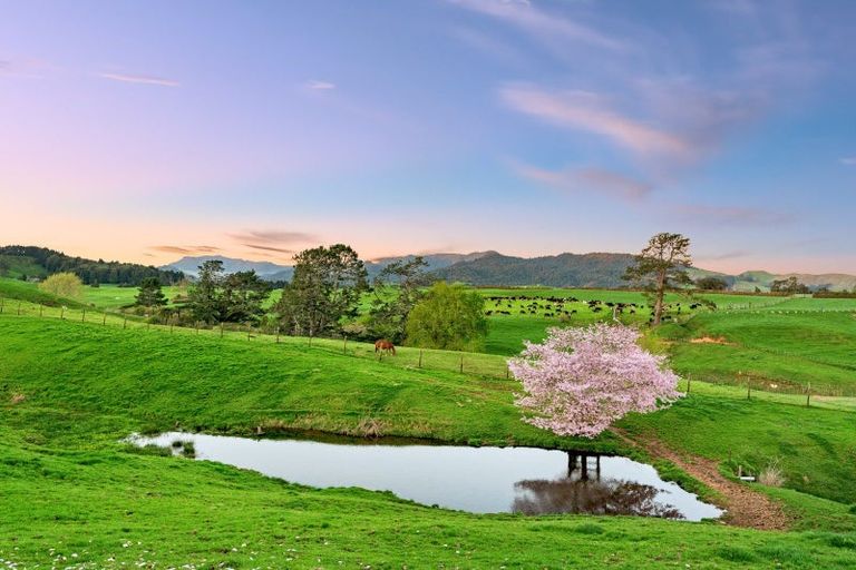 Photo of property in 48 Poland Street, Waikino, Waihi, 3682