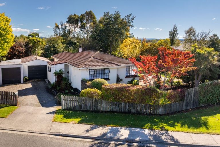 Photo of property in 8 Pope Street, Milton, 9220