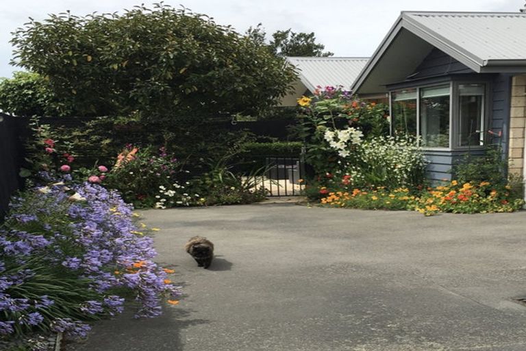 Photo of property in 7c Darroch Street, Belfast, Christchurch, 8051