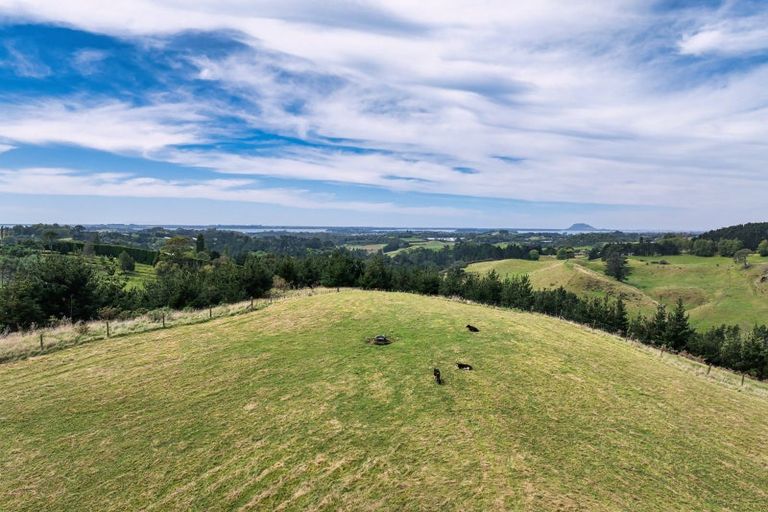Photo of property in 371 Esdaile Road, Whakamarama, Tauranga, 3180