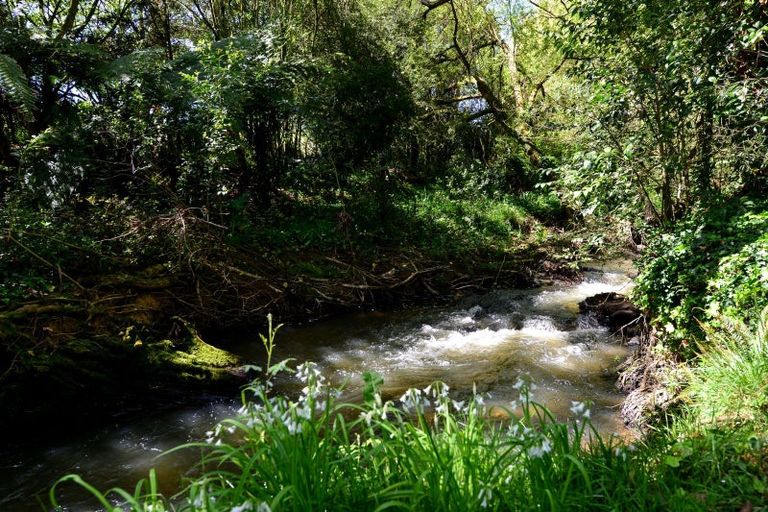 Photo of property in 431 Scotsman Valley Road, Tauwhare, Morrinsville, 3371