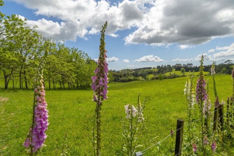 Photo of property in 649f Esdaile Road, Whakamarama, Tauranga, 3180